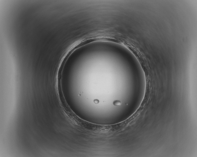 X0000111170148200907011356