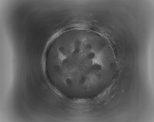 X0000111170149200907011356