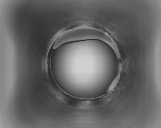 X0000111170152200907011356