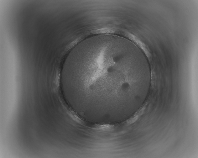 X0000111170153200907011356