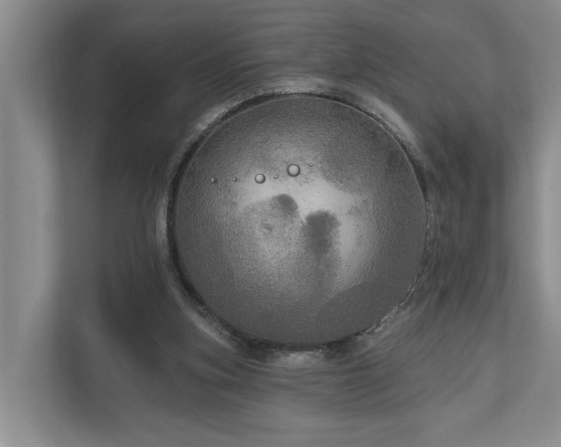 X0000111170155200907011356