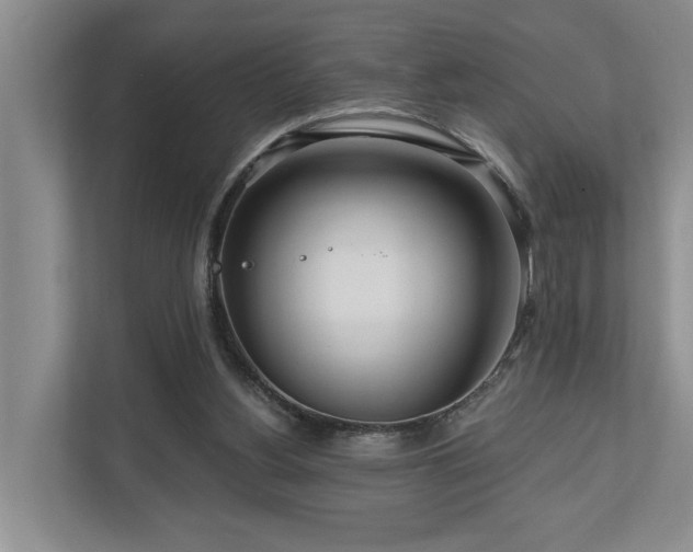 X0000111170156200907011356