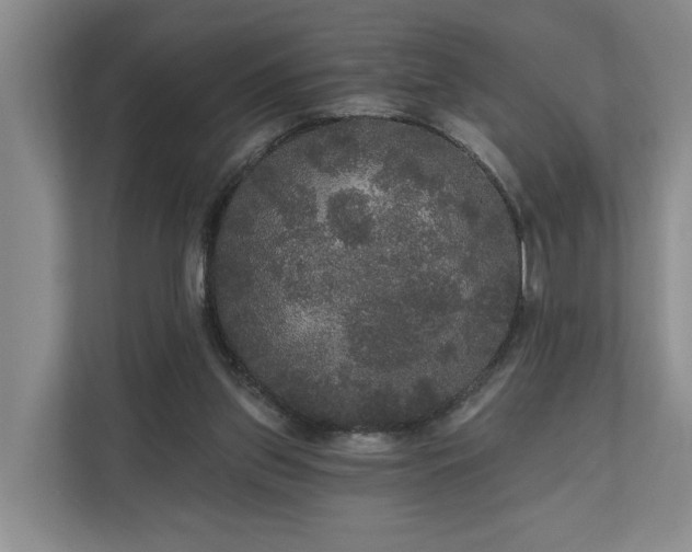 X0000111170157200907011356