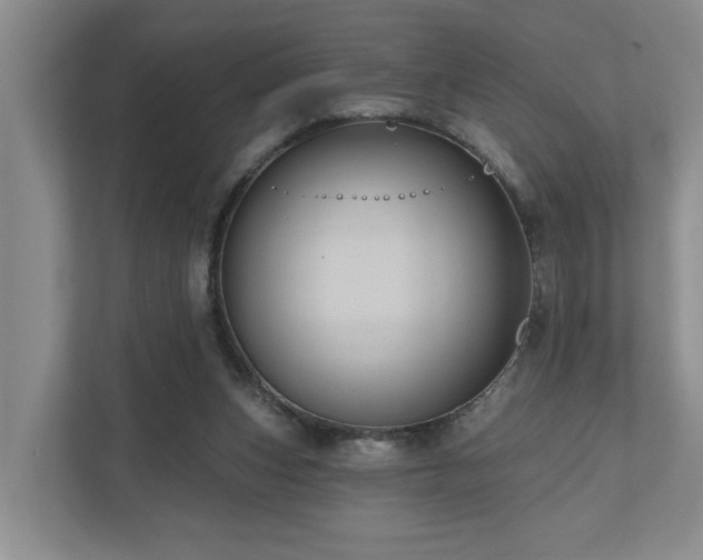 X0000111170159200907011356