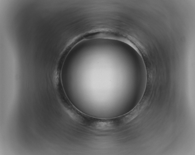 X0000111170160200907011356