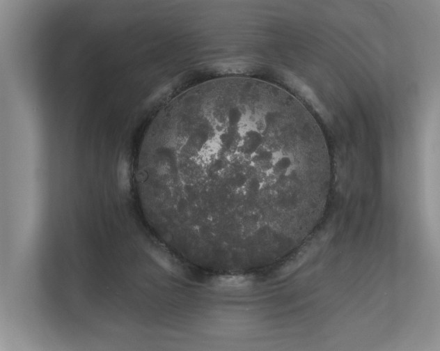 X0000111170161200907011356