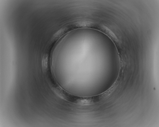 X0000111170163200907011356