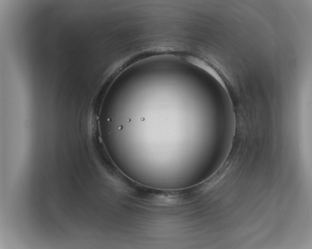 X0000111170164200907011356