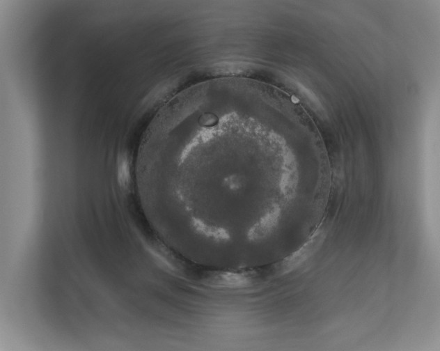 X0000111170166200907011356