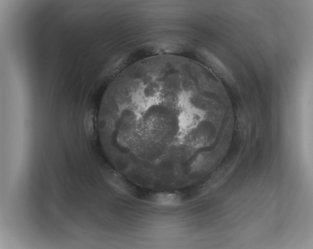 X0000111170169200907011356