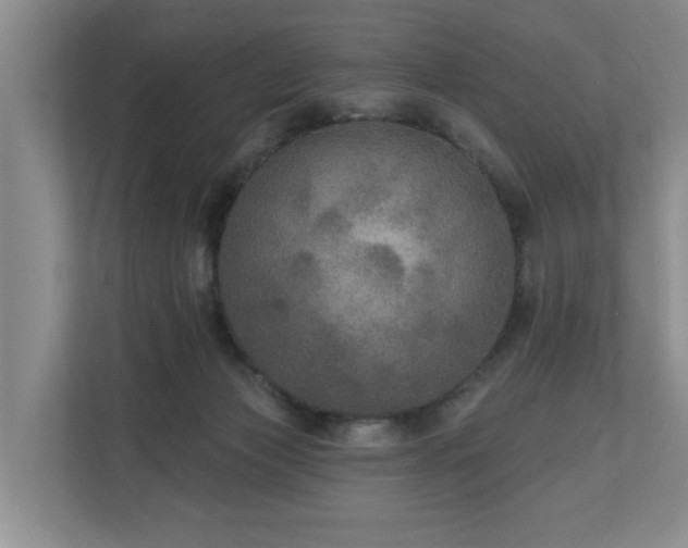 X0000111170173200907011356