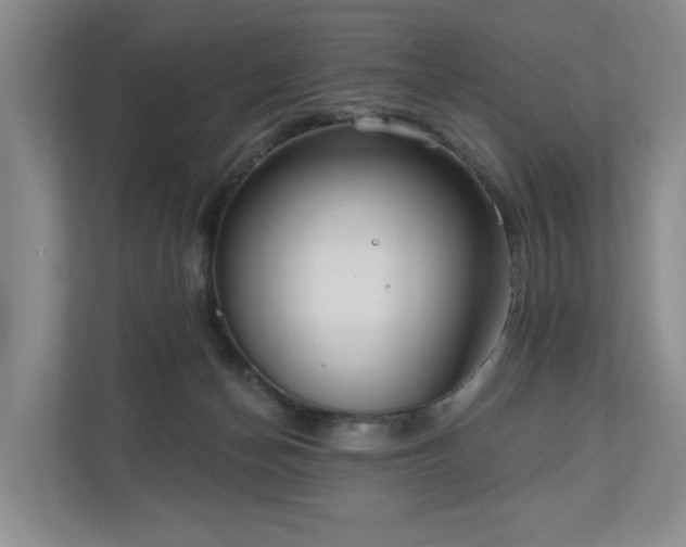 X0000111170174200907011356