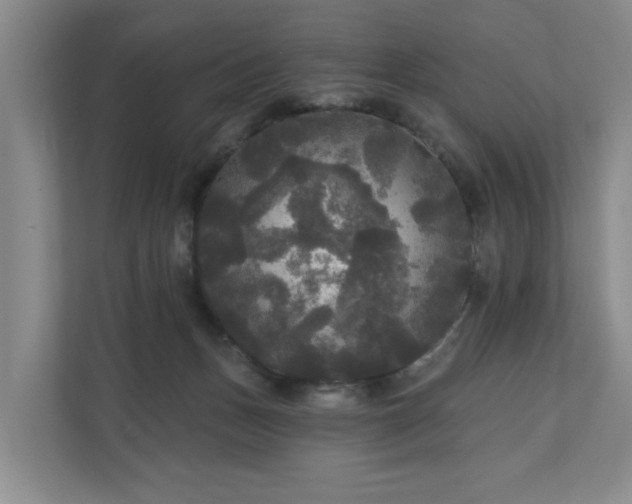 X0000111170175200907011356