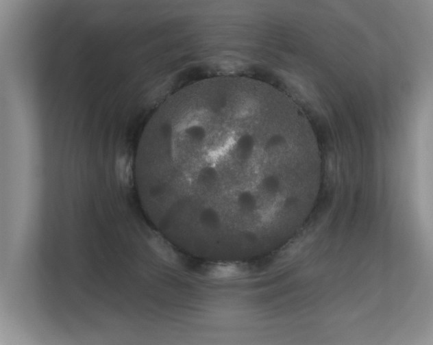 X0000111170177200907011357