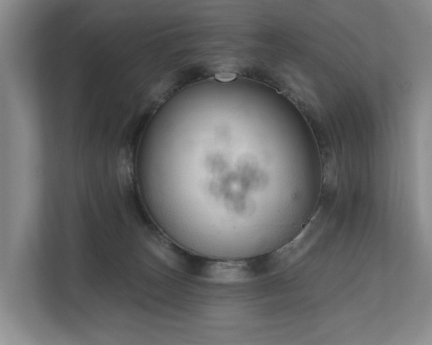 X0000111170179200907011357