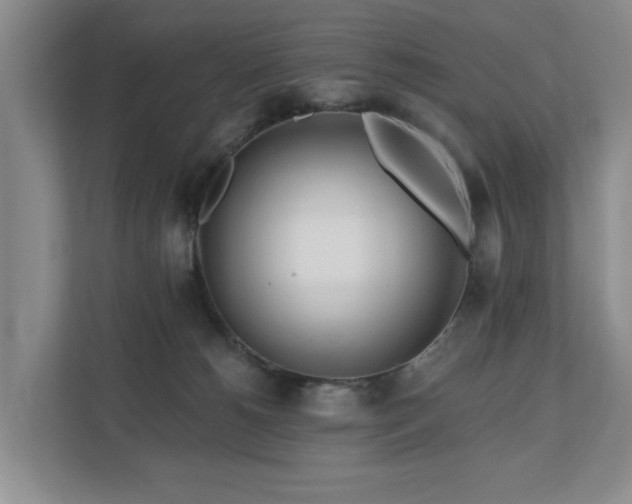 X0000111170180200907011357