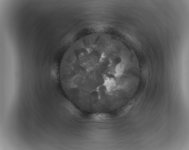 X0000111170181200907011357