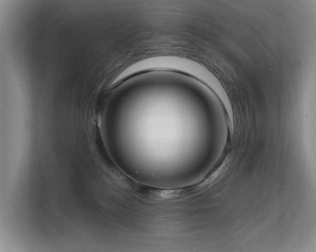 X0000111170184200907011357