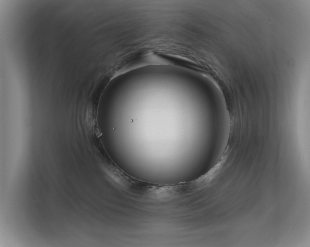 X0000111170186200907011357