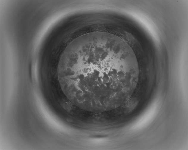 X0000111170189200907011357