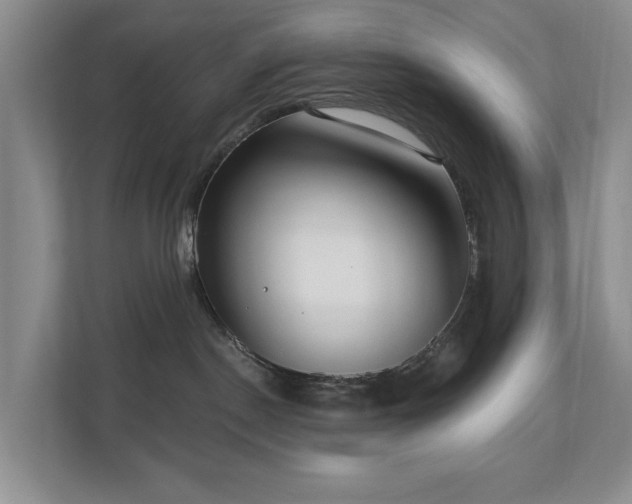 X0000111170190200907011357