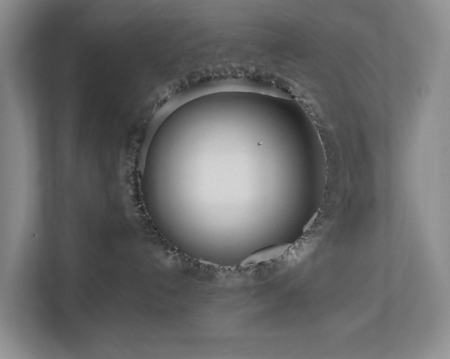 X0000111170192200907011357