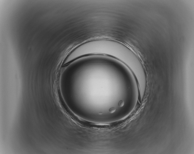 X0000111170193200907011356