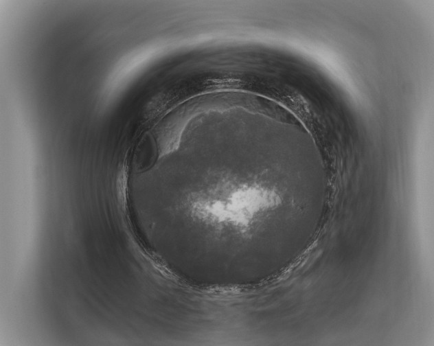 X0000111170194200907011356