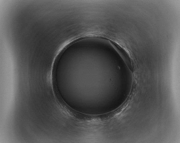 X0000111170196200907011356