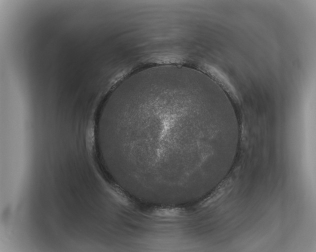 X0000111170202200907011356