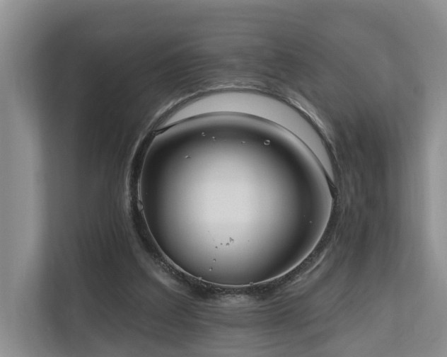 X0000111170203200907011356