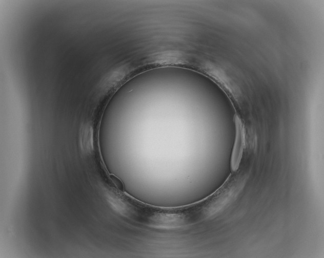 X0000111170205200907011356