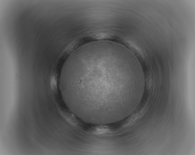 X0000111170214200907011356