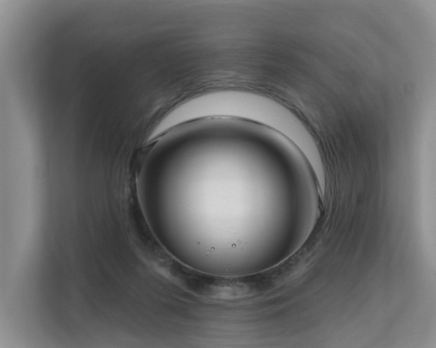 X0000111170215200907011356