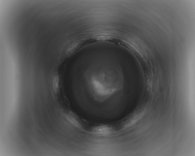 X0000111170219200907011356