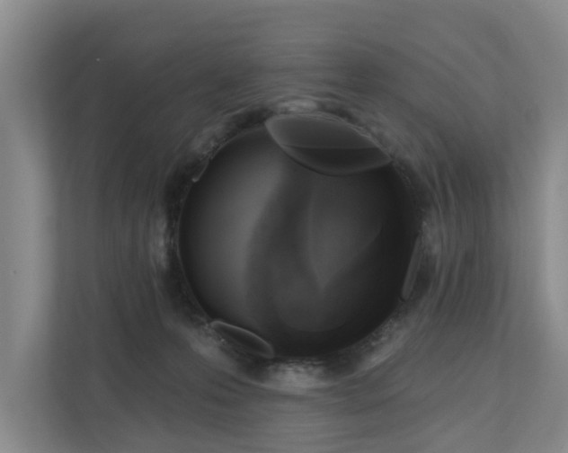 X0000111170223200907011356