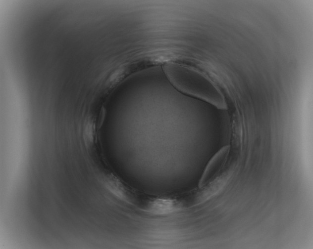 X0000111170227200907011356