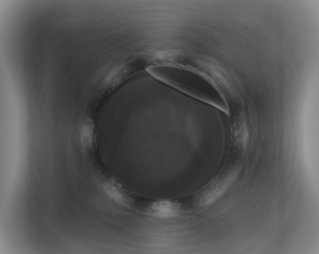 X0000111170231200907011356