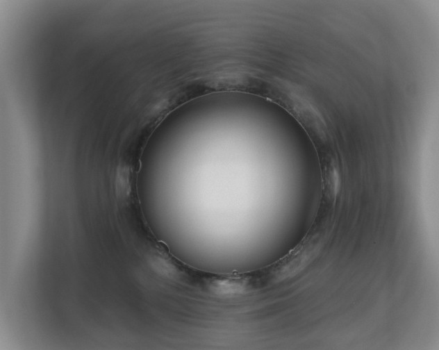 X0000111170232200907011356