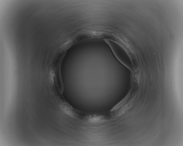 X0000111170235200907011356