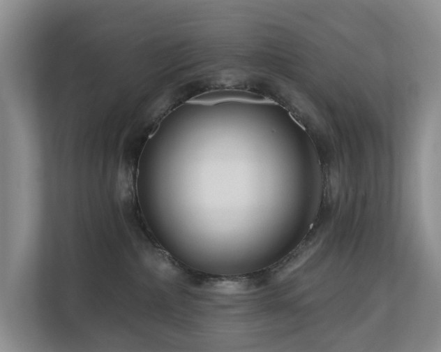 X0000111170236200907011356