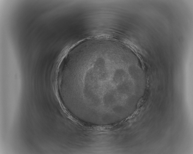 X0000111170241200907011355