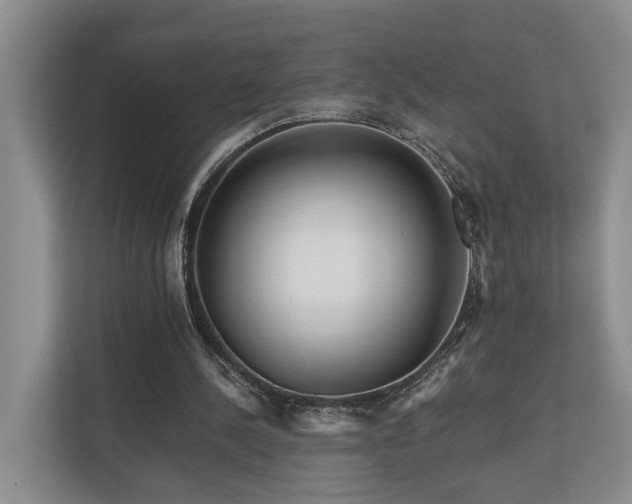 X0000111170244200907011355