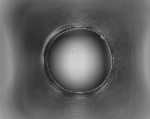 X0000111170246200907011355