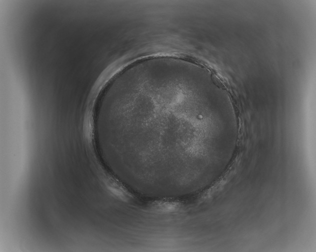 X0000111170247200907011355