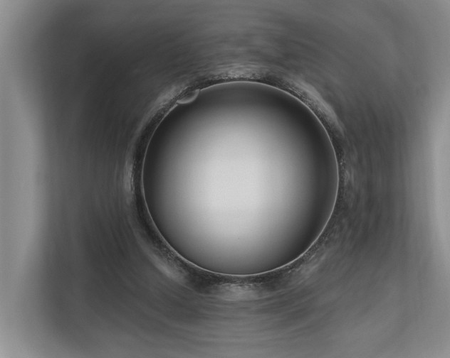 X0000111170250200907011355