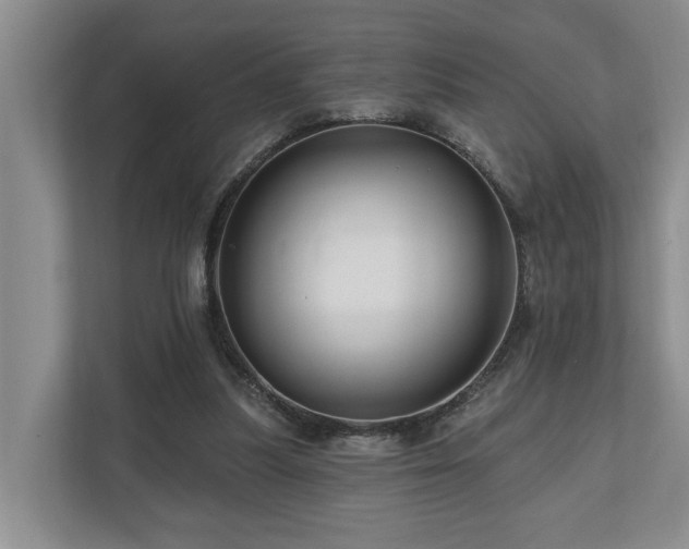 X0000111170251200907011355