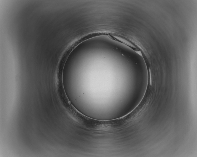 X0000111170252200907011355