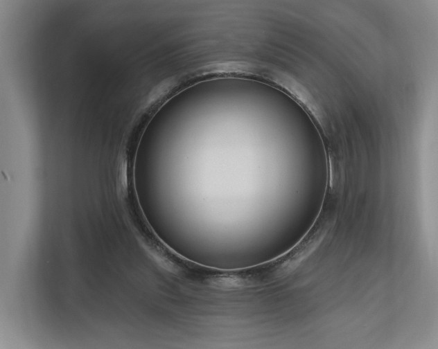 X0000111170253200907011355