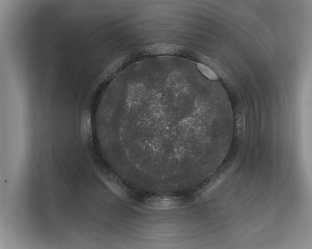 X0000111170254200907011355